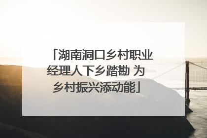 湖南洞口乡村职业经理人下乡踏勘 为乡村振兴添动能