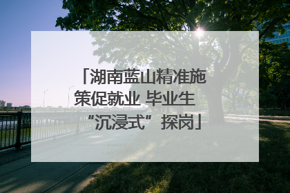 湖南蓝山精准施策促就业 毕业生“沉浸式”探岗