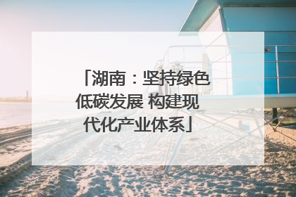 湖南：坚持绿色低碳发展 构建现代化产业体系