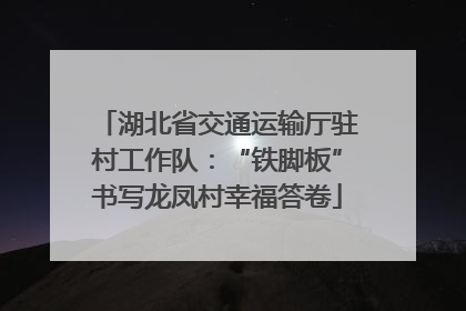 湖北省交通运输厅驻村工作队：“铁脚板”书写龙凤村幸福答卷