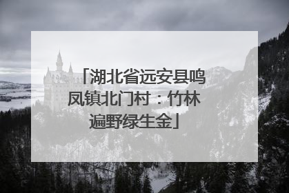 湖北省远安县鸣凤镇北门村：竹林遍野绿生金