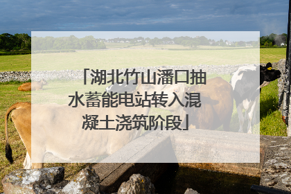 湖北竹山潘口抽水蓄能电站转入混凝土浇筑阶段