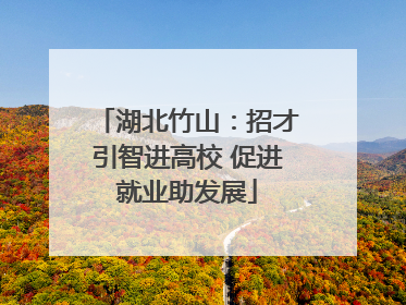 湖北竹山：招才引智进高校 促进就业助发展