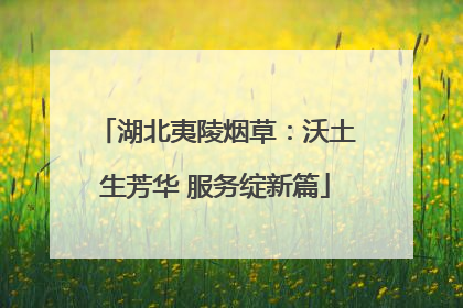 湖北夷陵烟草：沃土生芳华 服务绽新篇