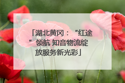 湖北黄冈：“红途”领航 知音物流绽放服务新光彩
