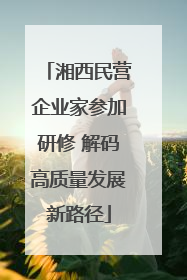 湘西民营企业家参加研修 解码高质量发展新路径
