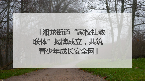 湘龙街道“家校社教联体”揭牌成立，共筑青少年成长安全网