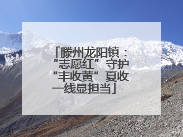 滕州龙阳镇：“志愿红”守护“丰收黄”夏收一线显担当
