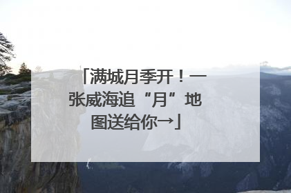 满城月季开！一张威海追“月”地图送给你→