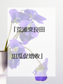 荒滩变良田 甜瓜促增收