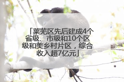 莱芜区先后建成4个省级、市级和10个区级和美乡村片区，综合收入超7亿元