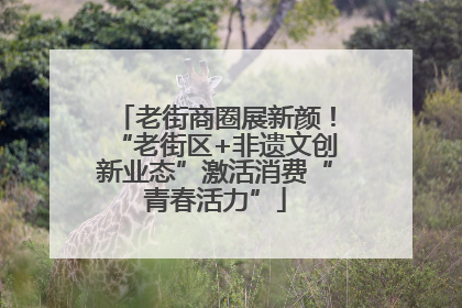 老街商圈展新颜！“老街区+非遗文创新业态”激活消费“青春活力”