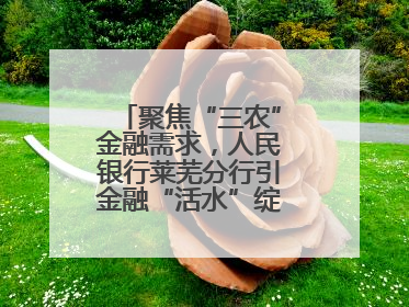 聚焦“三农”金融需求，人民银行莱芜分行引金融“活水”绽乡村振兴之花