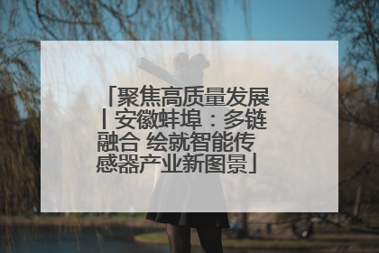 聚焦高质量发展丨安徽蚌埠：多链融合 绘就智能传感器产业新图景