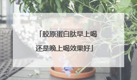 胶原蛋白肽早上喝还是晚上喝效果好