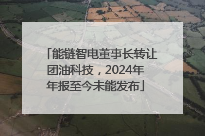 能链智电董事长转让团油科技，2024年年报至今未能发布