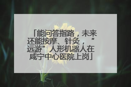 能问答指路，未来还能按摩、针灸，“远游”人形机器人在咸宁中心医院上岗