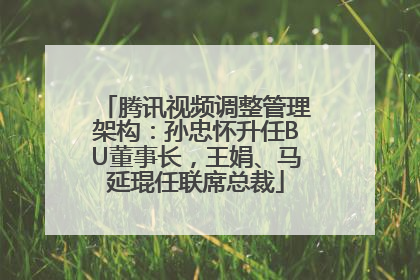 腾讯视频调整管理架构：孙忠怀升任BU董事长，王娟、马延琨任联席总裁