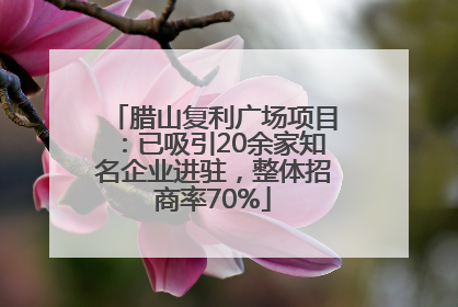 腊山复利广场项目：已吸引20余家知名企业进驻，整体招商率70%