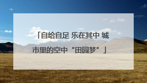 自给自足 乐在其中 城市里的空中“田园梦”