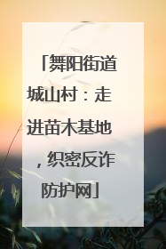 舞阳街道城山村：走进苗木基地，织密反诈防护网