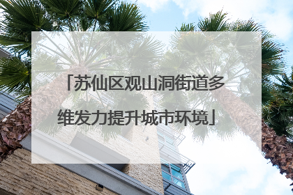 苏仙区观山洞街道多维发力提升城市环境