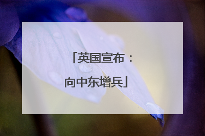 英国宣布：向中东增兵