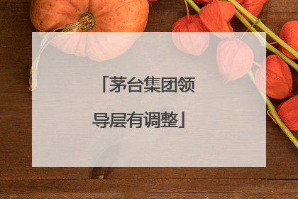 茅台集团领导层有调整