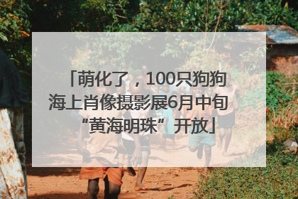 萌化了，100只狗狗海上肖像摄影展6月中旬“黄海明珠”开放