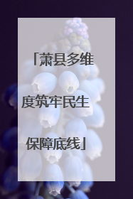 萧县多维度筑牢民生保障底线