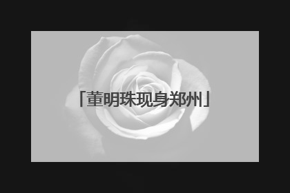 董明珠现身郑州