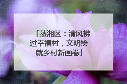 蒸湘区：清风拂过幸福村，文明绘就乡村新画卷