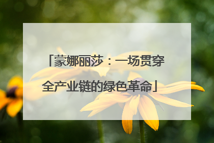蒙娜丽莎：一场贯穿全产业链的绿色革命