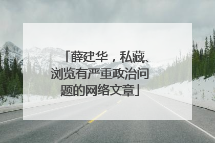 薛建华，私藏、浏览有严重政治问题的网络文章