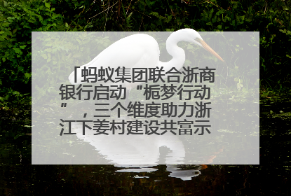 蚂蚁集团联合浙商银行启动“栀梦行动”，三个维度助力浙江下姜村建设共富示范区示范点