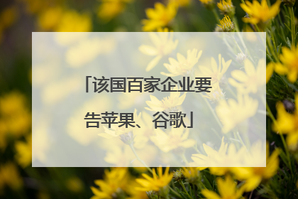该国百家企业要告苹果、谷歌