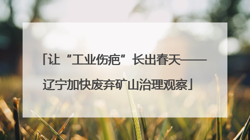 让“工业伤疤”长出春天——辽宁加快废弃矿山治理观察