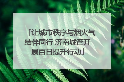 让城市秩序与烟火气结伴同行 济南城管开展百日提升行动