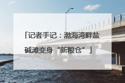 记者手记：渤海湾畔盐碱滩变身“新粮仓”
