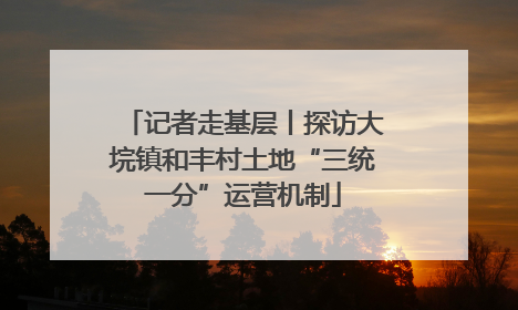 记者走基层丨探访大垸镇和丰村土地“三统一分”运营机制