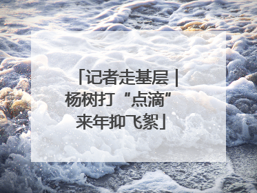 记者走基层｜杨树打“点滴” 来年抑飞絮