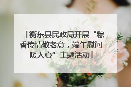 衡东县民政局开展“粽香传情敬老意，端午慰问暖人心”主题活动