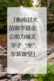 衡南县火苗助学基金会助力城关学子“坐”享新课堂
