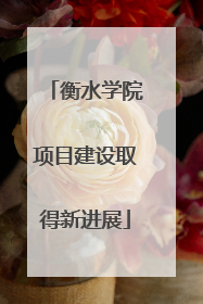 衡水学院项目建设取得新进展