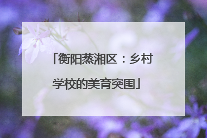 衡阳蒸湘区：乡村学校的美育突围