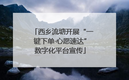 西乡流塘开展“一键下单·心愿速达”数字化平台宣传