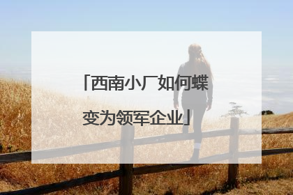 西南小厂如何蝶变为领军企业