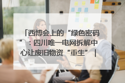 西博会上的“绿色密码”：四川唯一电网拆解中心让废旧物资“重生”｜西博寻“新”记