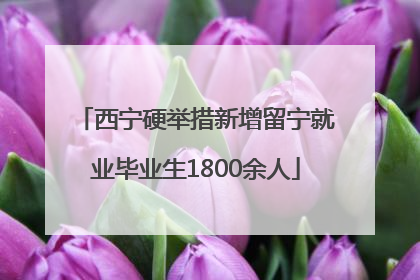 西宁硬举措新增留宁就业毕业生1800余人
