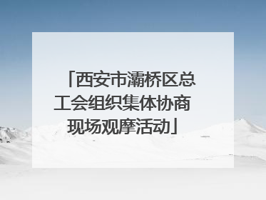 西安市灞桥区总工会组织集体协商现场观摩活动